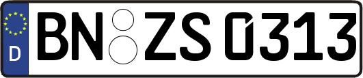 BN-ZS0313