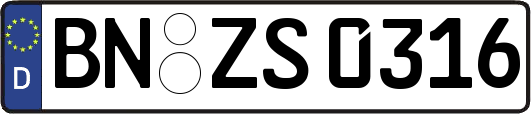 BN-ZS0316