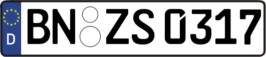 BN-ZS0317