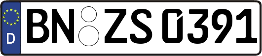 BN-ZS0391