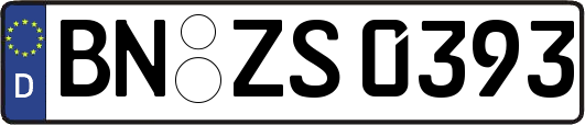 BN-ZS0393