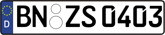 BN-ZS0403