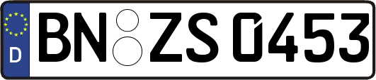 BN-ZS0453