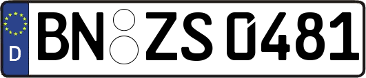 BN-ZS0481