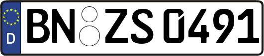 BN-ZS0491