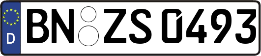 BN-ZS0493