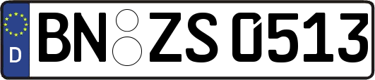 BN-ZS0513
