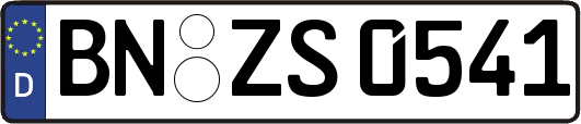 BN-ZS0541