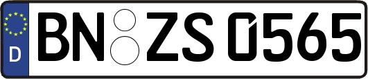 BN-ZS0565