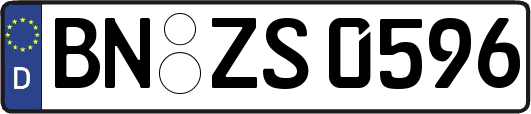 BN-ZS0596
