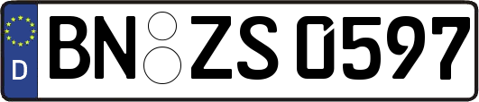 BN-ZS0597