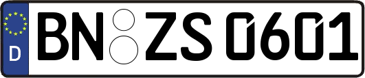 BN-ZS0601