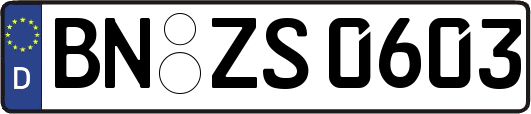 BN-ZS0603