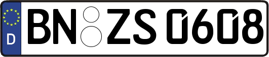 BN-ZS0608