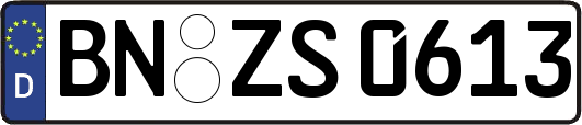 BN-ZS0613