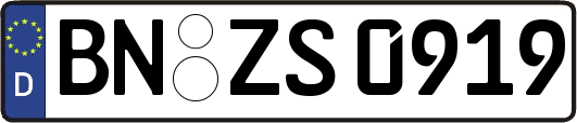 BN-ZS0919