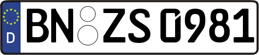 BN-ZS0981