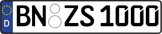 BN-ZS1000