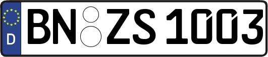 BN-ZS1003