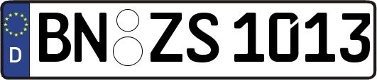 BN-ZS1013