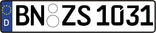 BN-ZS1031
