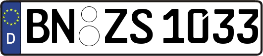 BN-ZS1033