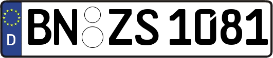 BN-ZS1081