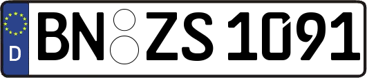 BN-ZS1091