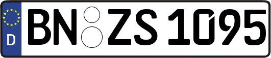 BN-ZS1095