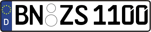 BN-ZS1100