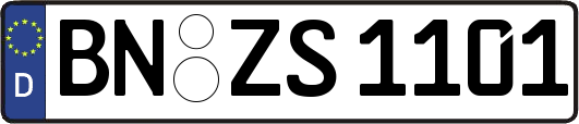 BN-ZS1101