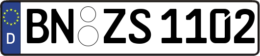 BN-ZS1102