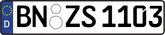 BN-ZS1103