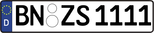 BN-ZS1111