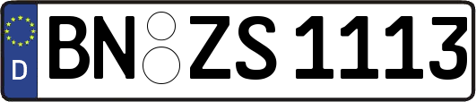 BN-ZS1113