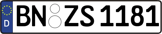 BN-ZS1181