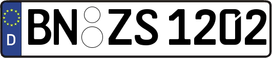 BN-ZS1202
