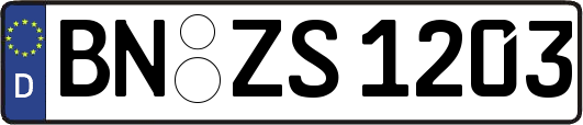 BN-ZS1203
