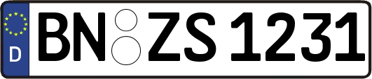 BN-ZS1231