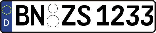 BN-ZS1233