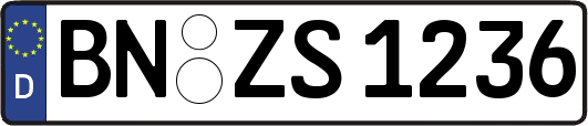 BN-ZS1236