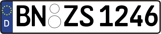 BN-ZS1246