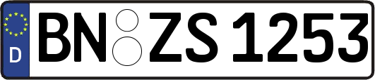 BN-ZS1253