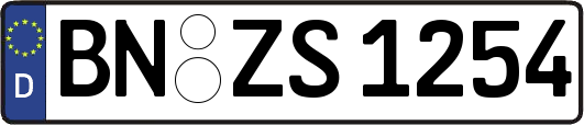 BN-ZS1254