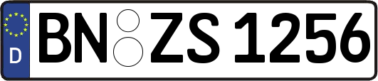 BN-ZS1256