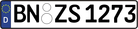 BN-ZS1273