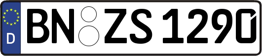 BN-ZS1290