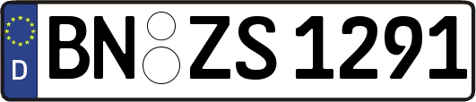 BN-ZS1291