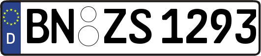 BN-ZS1293