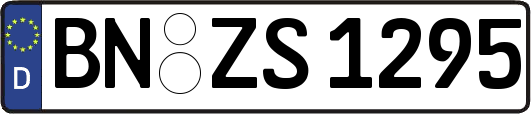 BN-ZS1295